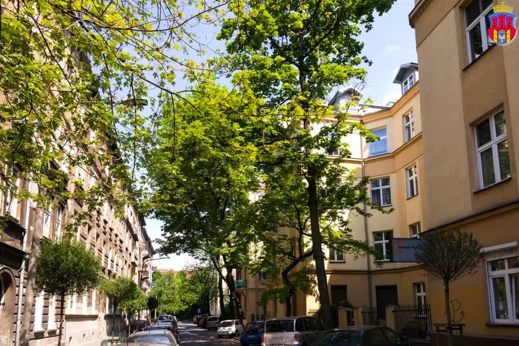 Live Like Locals: Market Square X Jewish District Krakkó Szoba fotó